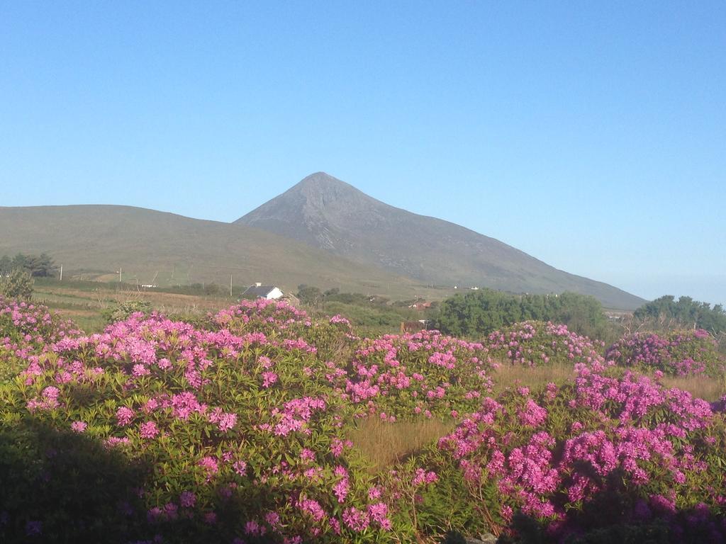Bed and Breakfast Achill Water'S Edge Doogort Exterior foto